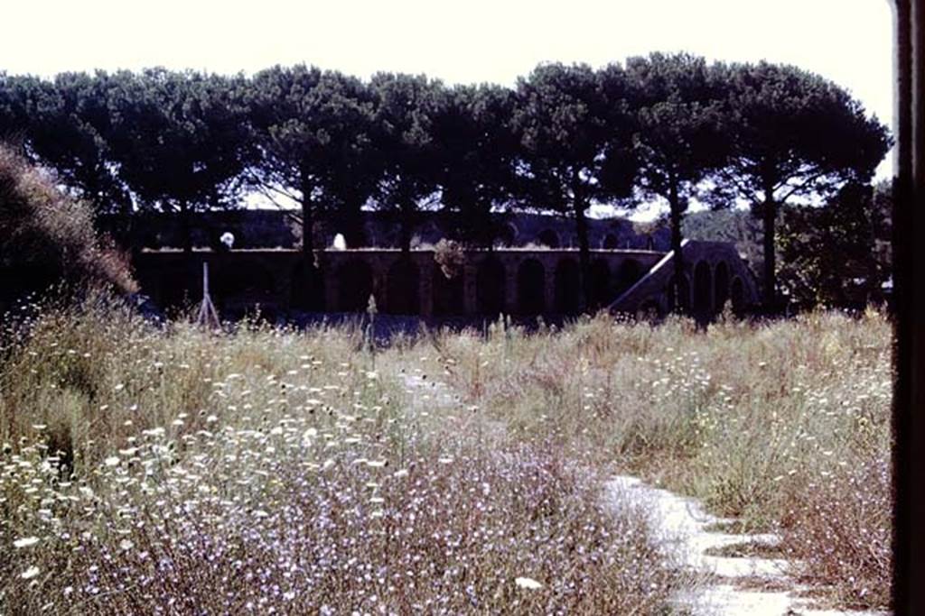 II.5 Pompeii. 1970. Only Wilhelmina in her vineyard, looking north-east.  At the end of this third season on this site, a total of 2001 vine-root cavities and 57 tree-root cavities had been found. Photo by Stanley A. Jashemski.
Source: The Wilhelmina and Stanley A. Jashemski archive in the University of Maryland Library, Special Collections (See collection page) and made available under the Creative Commons Attribution-Non Commercial License v.4. See Licence and use details.
J70f0725
