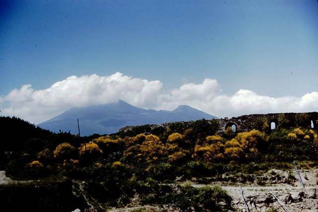 II.6 Pompeii. 1961. Looking north-west towards ampitheatre on its eastern side, Photo by Stanley A. Jashemski.
Source: The Wilhelmina and Stanley A. Jashemski archive in the University of Maryland Library, Special Collections (See collection page) and made available under the Creative Commons Attribution-Non Commercial License v.4. See Licence and use details.
J61f0292
