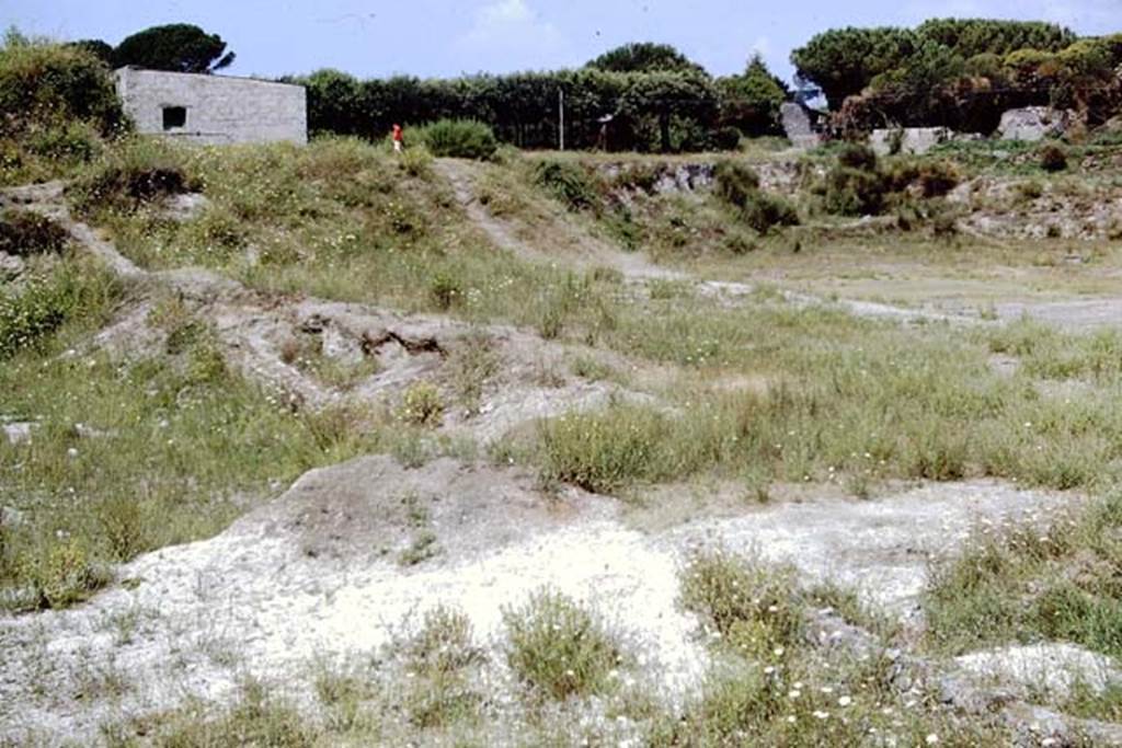 II.6 Pompeii. 1968. Looking west from south of ampitheatre, Tower IV can be seen on the right.  Photo by Stanley A. Jashemski.
Source: The Wilhelmina and Stanley A. Jashemski archive in the University of Maryland Library, Special Collections (See collection page) and made available under the Creative Commons Attribution-Non Commercial License v.4. See Licence and use details.
J68f1758
