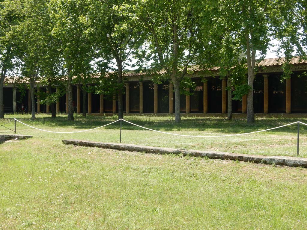 II.7 Pompeii. June 2019. Looking towards south-west corner, from pool. Photo courtesy of Buzz Ferebee.