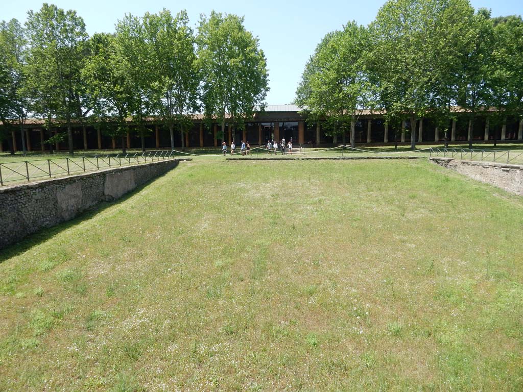 II.7 Pompeii. June 2019. Looking towards south-west corner, from pool. Photo courtesy of Buzz Ferebee.