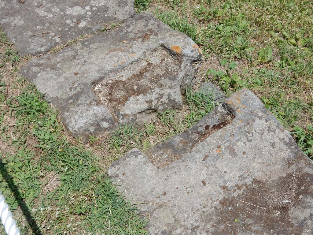 II.7 Pompeii. June 2019. Looking north across pool. Photo courtesy of Buzz Ferebee.