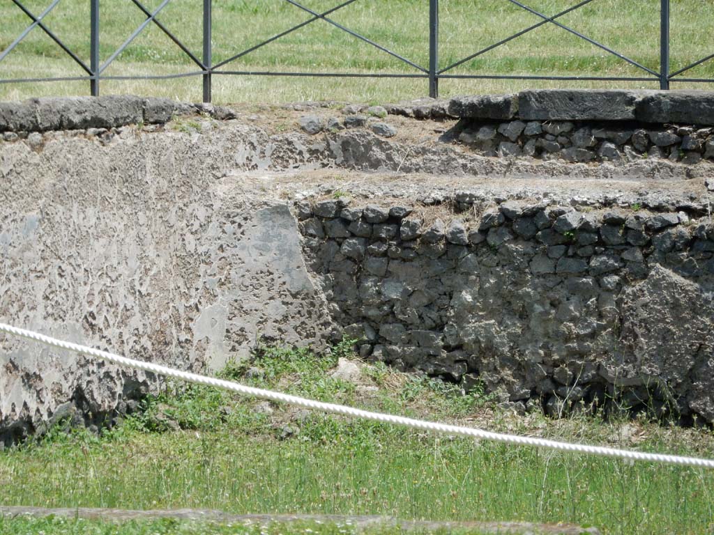 II.7 Pompeii. June 2019. Detail from north wall in north-east corner. Photo courtesy of Buzz Ferebee.