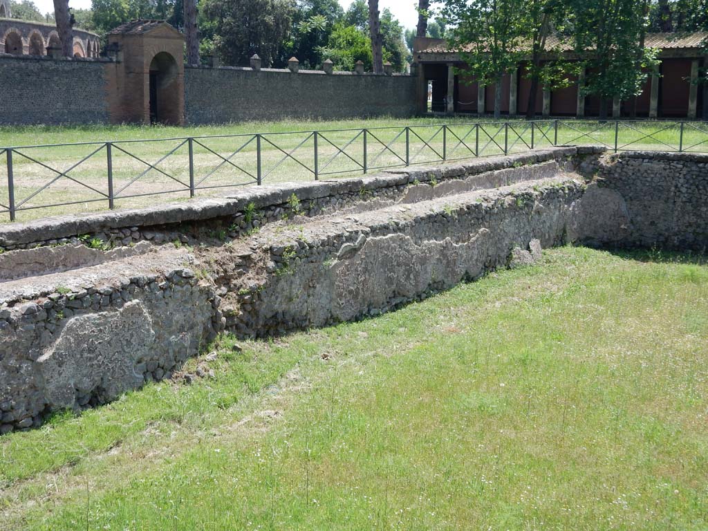 II.7 Pompeii. June 2019. Detail from east side of pool. Photo courtesy of Buzz Ferebee.