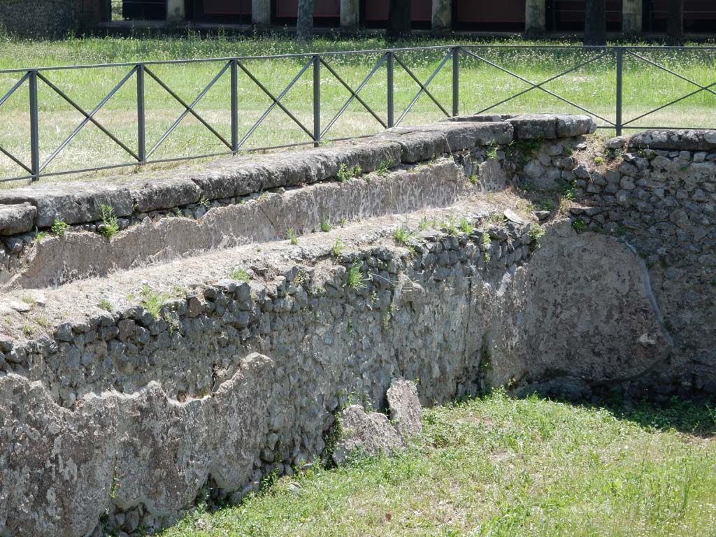 II.7 Pompeii. June 2019. Looking towards east wall and south-east corner of pool. Photo courtesy of Buzz Ferebee.