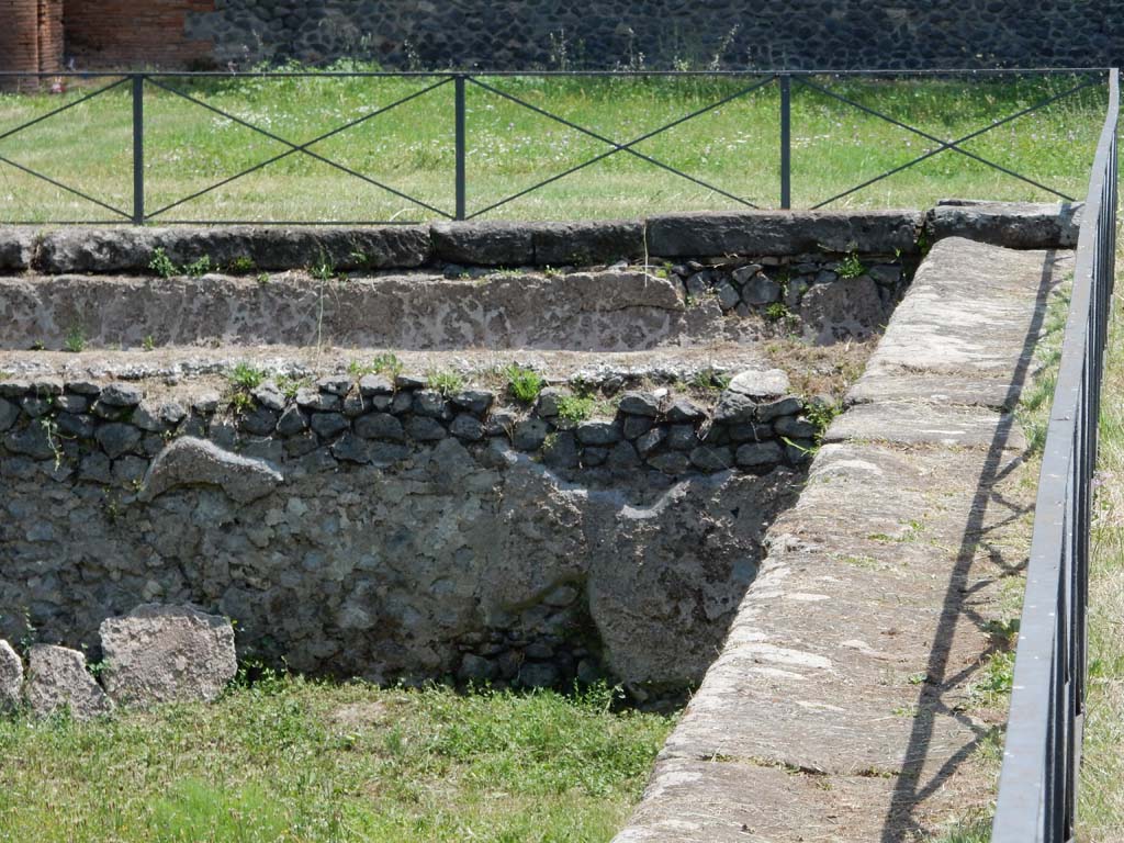 II.7 Pompeii. June 2019. Looking north along east side of pool, from south side. Photo courtesy of Buzz Ferebee.