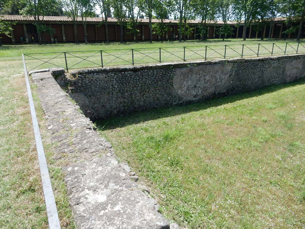 II.7 Pompeii. June 2019. Looking south-east across pool. Photo courtesy of Buzz Ferebee.