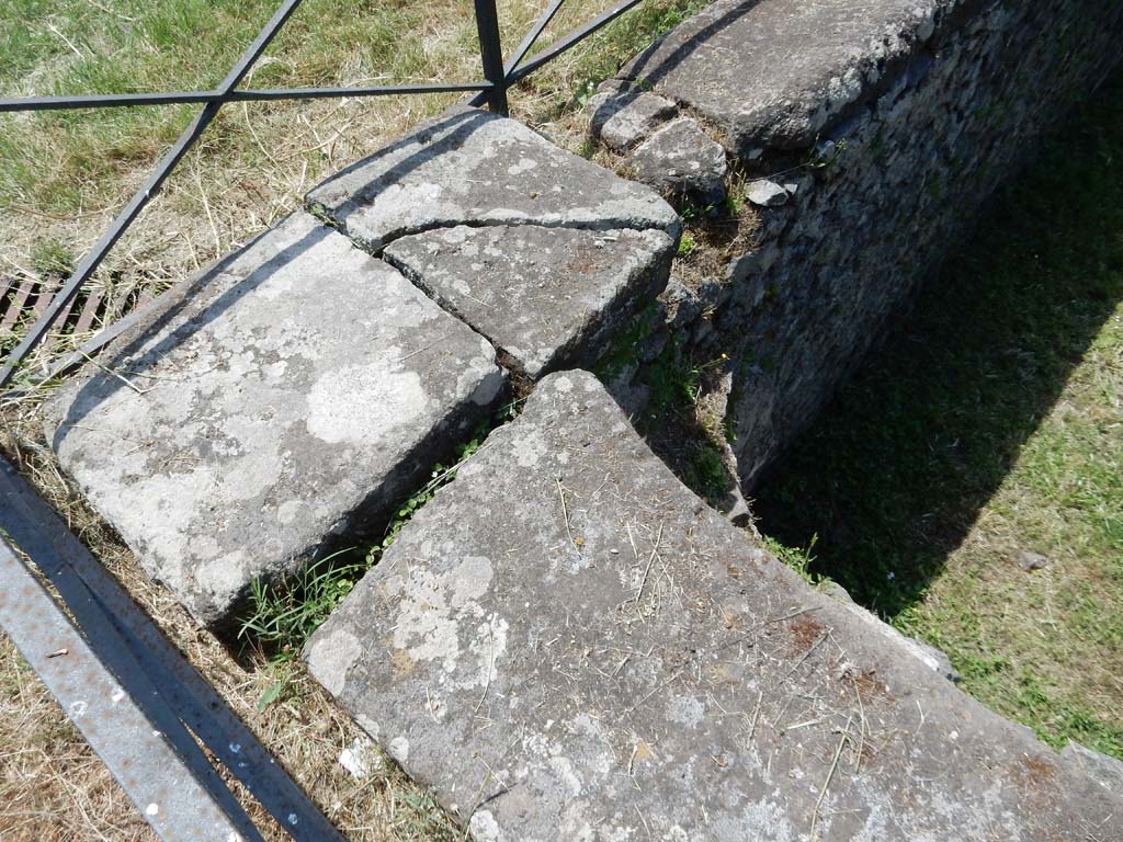 II.7 Pompeii. June 2019. Looking towards south-east corner and south wall of pool. Photo courtesy of Buzz Ferebee.