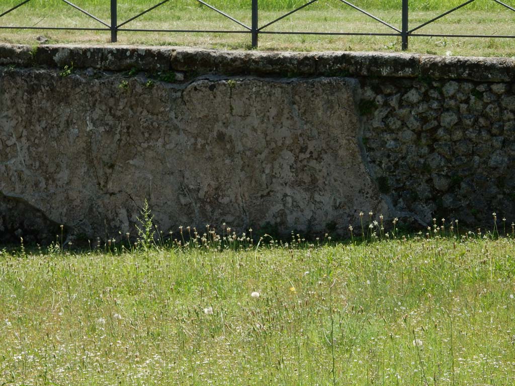 II.7 Pompeii. June 2019. South side of pool. Photo courtesy of Buzz Ferebee.