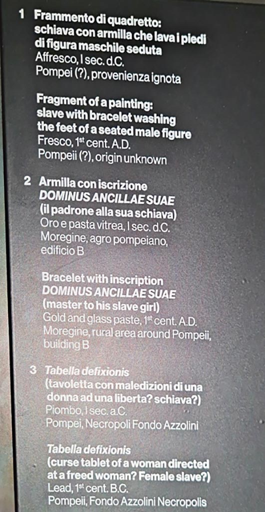 II.7.9 Pompeii. Palaestra. March 2024. 
Information card for display cabinet. Photo courtesy of Giuseppe Ciaramella.

