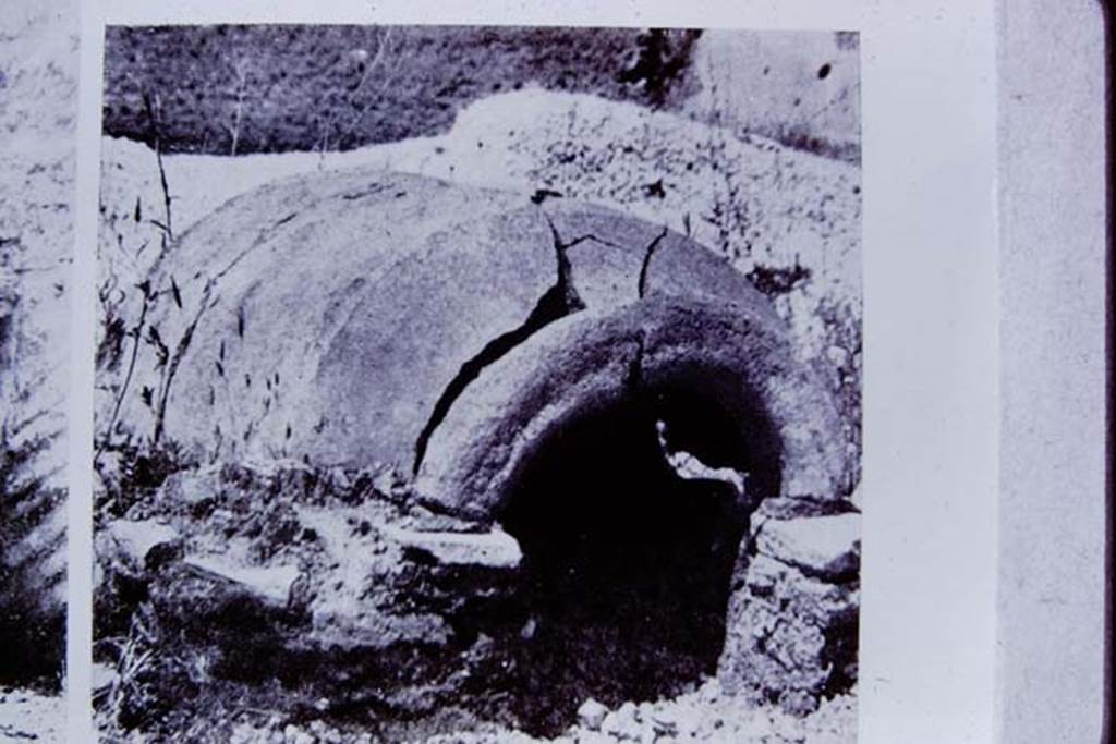 II.8.6 Pompeii. 1972. Photo of a photo of the dog-kennel, formed from a half-dolium. 
Photo by Stanley A. Jashemski. 
Source: The Wilhelmina and Stanley A. Jashemski archive in the University of Maryland Library, Special Collections (See collection page) and made available under the Creative Commons Attribution-Non Commercial License v.4. See Licence and use details.
J72f0471
According to Wilhelmina, Dott. Giordano told her that to the south of the triclinium an unusual doghouse had been found by the original excavators. 
An old amphora had been cut in half lengthways and placed on a low masonry wall, the dog then entered its kennel through the mouth of the amphora. 
Unfortunately, this no longer existed.
See Jashemski, W.F., 2014. Discovering the Gardens of Pompeii: Memoirs of a Garden Archaeologist, p. 193-4.

