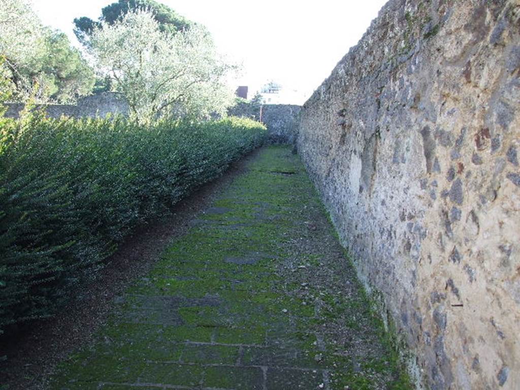 II.8.6 Pompeii. December 2006. Looking south along the west wall. from north-west corner.