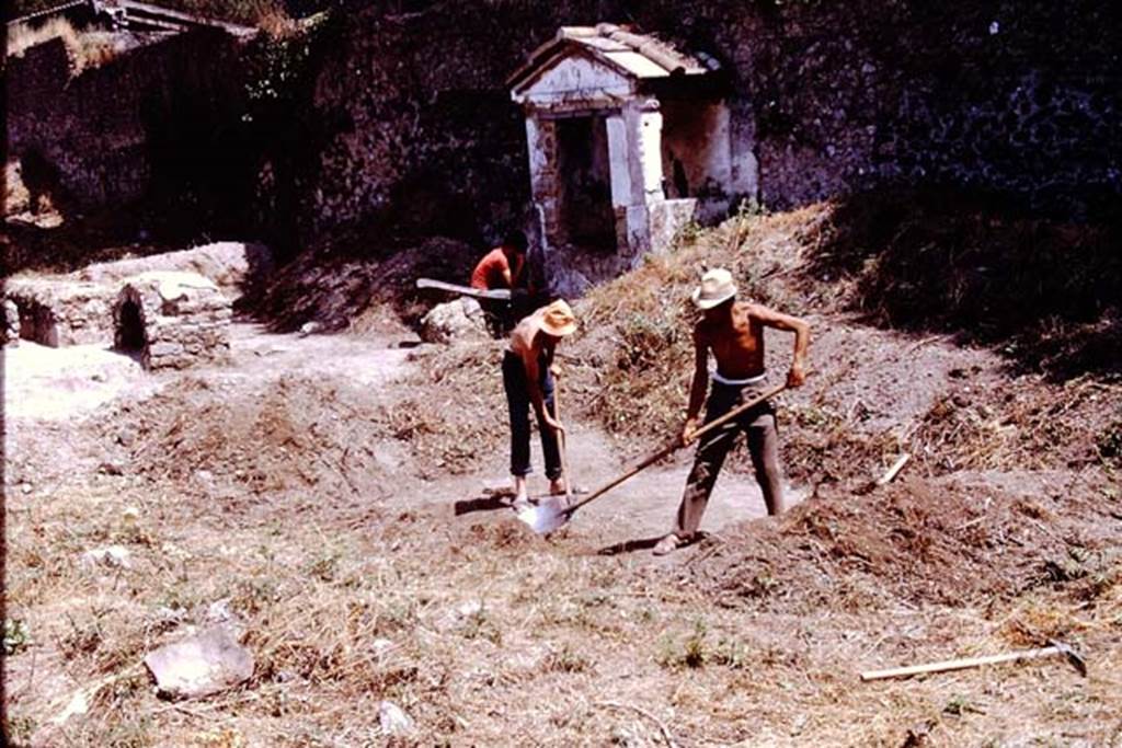 II.8.6 Pompeii. 1972. Looking north along east side. On the left, near the triclinium, is the dog-kennel.  Photo by Stanley A. Jashemski. 
Source: The Wilhelmina and Stanley A. Jashemski archive in the University of Maryland Library, Special Collections (See collection page) and made available under the Creative Commons Attribution-Non Commercial License v.4. See Licence and use details. J72f0170
