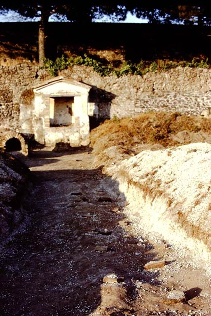 II.8.6 Pompeii. 1972. Looking east along trench to Lararium, and dog-kennel. 
Photo by Stanley A. Jashemski. 
Source: The Wilhelmina and Stanley A. Jashemski archive in the University of Maryland Library, Special Collections (See collection page) and made available under the Creative Commons Attribution-Non Commercial License v.4. See Licence and use details. J72f0175
