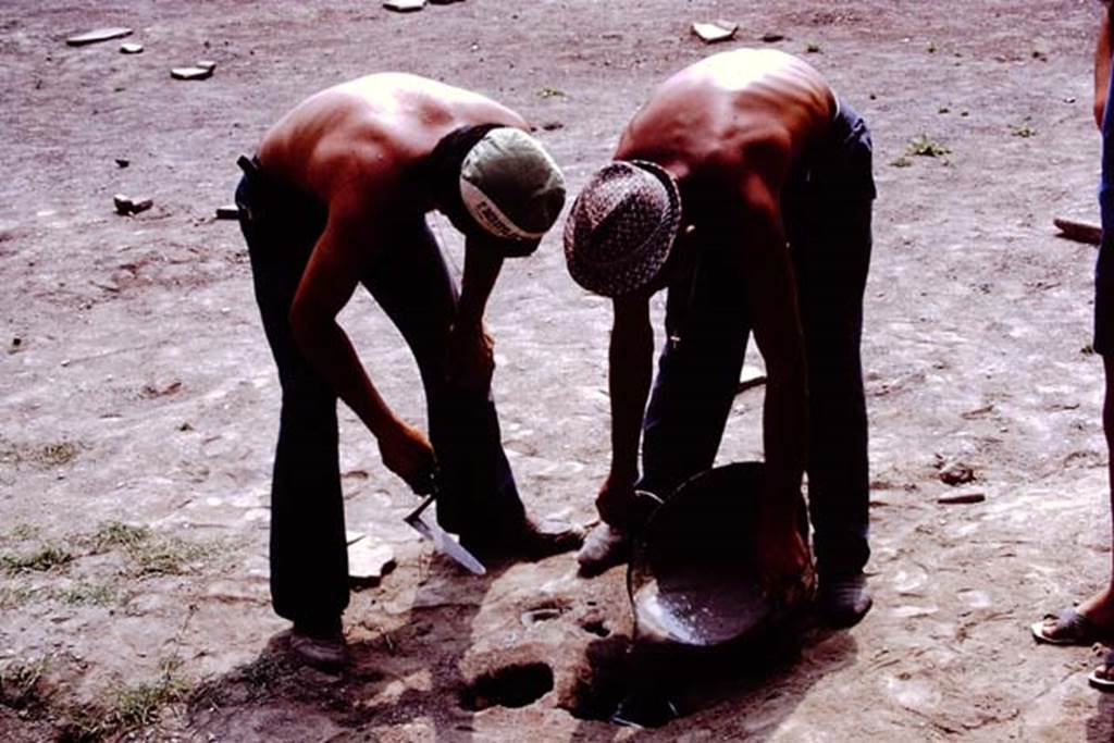 II.8.6 Pompeii. 1972. Filling the root cavity. Photo by Stanley A. Jashemski. 
Source: The Wilhelmina and Stanley A. Jashemski archive in the University of Maryland Library, Special Collections (See collection page) and made available under the Creative Commons Attribution-Non Commercial License v.4. See Licence and use details. J72f0326

