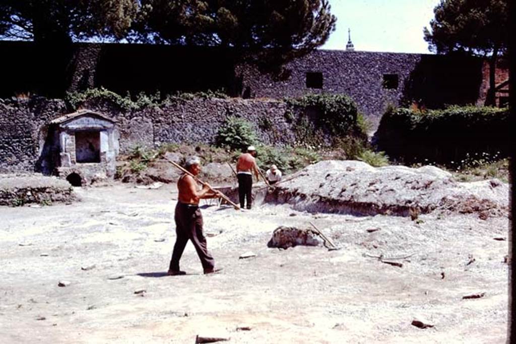 II.8.6 Pompeii. 1972. Looking towards south-east corner of garden area. Photo by Stanley A. Jashemski. 
Source: The Wilhelmina and Stanley A. Jashemski archive in the University of Maryland Library, Special Collections (See collection page) and made available under the Creative Commons Attribution-Non Commercial License v.4. See Licence and use details. J72f0693
