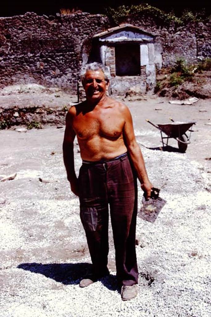 II.8.6 Pompeii. 1972. Retrieval of a garden/farming implement in the lapilli. Photo by Stanley A. Jashemski. 
Source: The Wilhelmina and Stanley A. Jashemski archive in the University of Maryland Library, Special Collections (See collection page) and made available under the Creative Commons Attribution-Non Commercial License v.4. See Licence and use details. J72f0700
