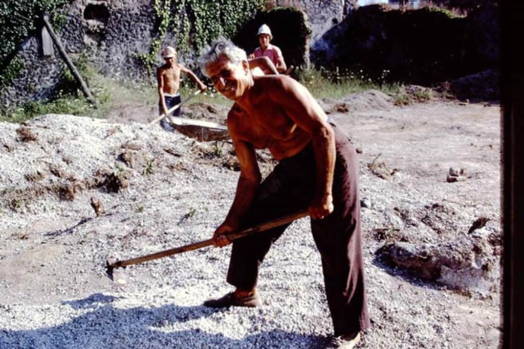 II.8.6 Pompeii. 1972. Working with a hoe (zappa). Photo by Stanley A. Jashemski. 
Source: The Wilhelmina and Stanley A. Jashemski archive in the University of Maryland Library, Special Collections (See collection page) and made available under the Creative Commons Attribution-Non Commercial License v.4. See Licence and use details. J72f0668
