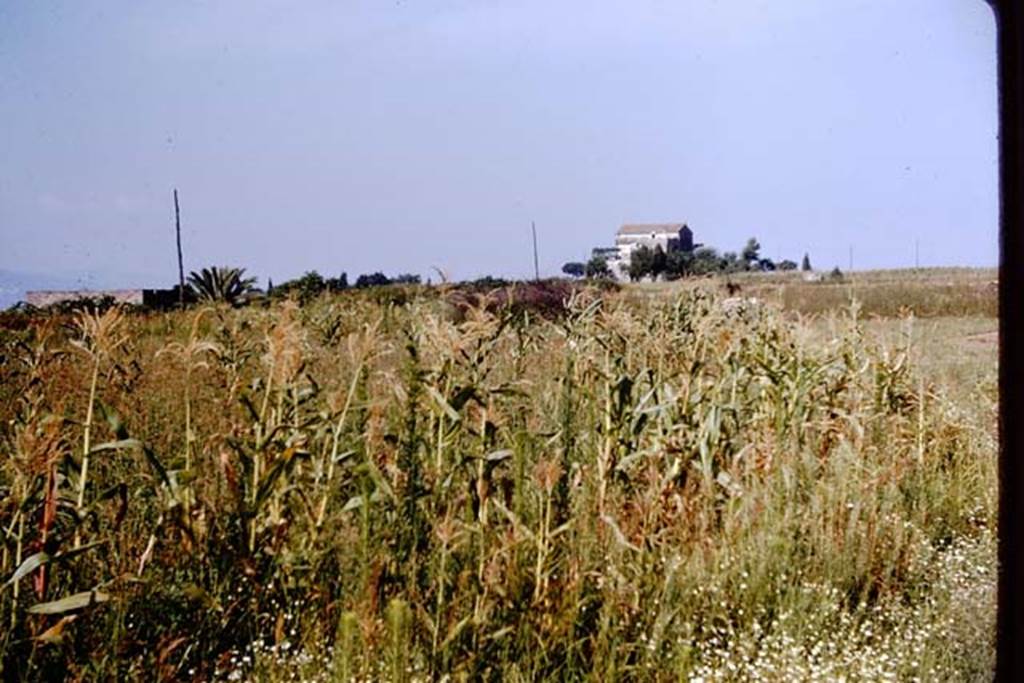 III.7 Pompeii. 1964. Looking west towards Casina dellAquila.   Photo by Stanley A. Jashemski.
Source: The Wilhelmina and Stanley A. Jashemski archive in the University of Maryland Library, Special Collections (See collection page) and made available under the Creative Commons Attribution-Non Commercial License v.4. See Licence and use details.
J64f2002
