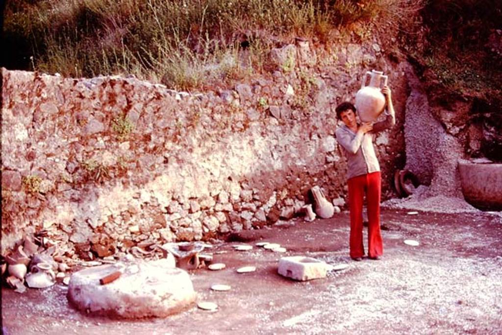 III.7 Pompeii. 1976. South-west corner of site, with gathered finds. Photo by Stanley A. Jashemski.   
Source: The Wilhelmina and Stanley A. Jashemski archive in the University of Maryland Library, Special Collections (See collection page) and made available under the Creative Commons Attribution-Non Commercial License v.4. See Licence and use details. J76f0479
