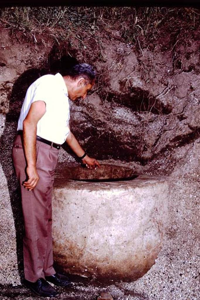 III.7 Pompeii. 1976. Sig. Sicignano examining the puteal. Photo by Stanley A. Jashemski.   
Source: The Wilhelmina and Stanley A. Jashemski archive in the University of Maryland Library, Special Collections (See collection page) and made available under the Creative Commons Attribution-Non Commercial License v.4. See Licence and use details. J76f0449
According to Wilhelmina, we uncovered a perfectly preserved cistern puteal of an exceptional quality of cocciopesto. The only visible sources of water for the garden were the two cisterns, the one near the triclinium and this one. We were unable to excavate this one completely because of the pressure of the lapilli on the adjacent wall. This cistern was probably also fed by water from the roof of the house.
See Jashemski, W.F., 2014. Discovering the Gardens of Pompeii: Memoirs of a Garden Archaeologist, (p.247).

