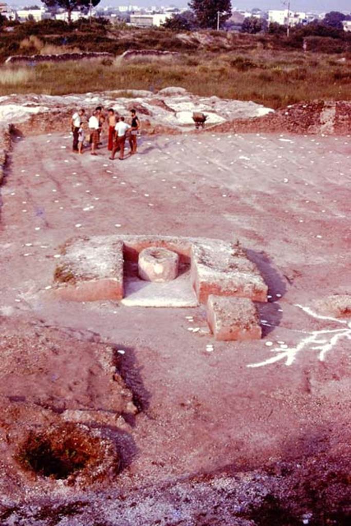 III.7 Pompeii. 1976. Looking east across triclinium. Photo by Stanley A. Jashemski.   
Source: The Wilhelmina and Stanley A. Jashemski archive in the University of Maryland Library, Special Collections (See collection page) and made available under the Creative Commons Attribution-Non Commercial License v.4. See Licence and use details.
J76f0530
According to Wilhelmina, The tree to the south-west of the triclinium, with the long spreading roots reaching to the surface was clearly a poplar.
See Jashemski, W. F., 1993. The Gardens of Pompeii, Volume II: Appendices. New York: Caratzas, (p.104).

