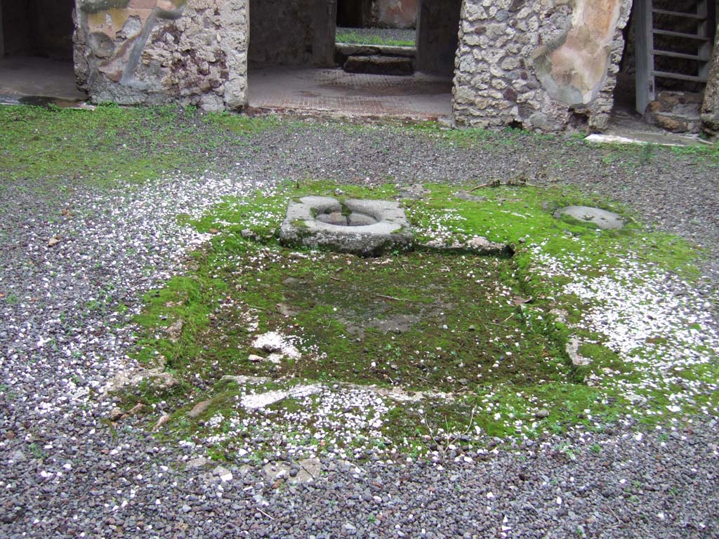 V.2.h Pompeii. December 2005. Impluvium in atrium ‘d’, looking south towards tablinum (f) (in centre).
According to NdS, the small atrium had an impluvium in its centre, with two cistern mouths nearby. 
The edge of the impluvium was covered with small irregular flakes of marble that produced the effect of a coarse mosaic.
See Notizie degli Scavi di Antichità, 1896, (p.422). (The atrium is referred to as ‘a’).
See Mau in Bullettino dell’Instituto di Corrispondenza Archeologica (DAIR), VIII, 1893, (p.14-27).
