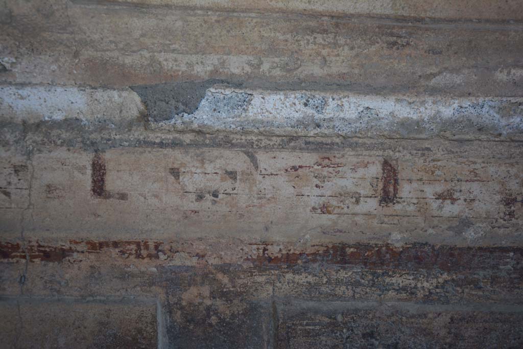 VI.2.4 Pompeii. December 2017. Detail from painted decoration from predella above zoccolo on north wall, continuation eastwards.
Foto Annette Haug, ERC Grant 681269 DCOR.
