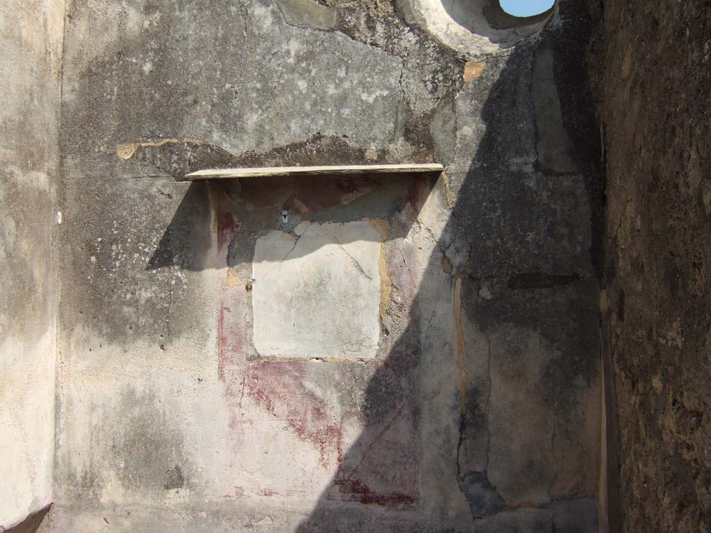 VI.7.3 Pompeii. September 2005. 
Room 4, east wall, with central violet panel and violet zoccolo/lower wall. The side panels were discoloured.
