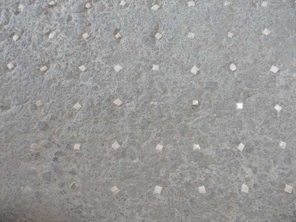 VI.8.23 Pompeii. May 2017.  Flooring in entrance corridor extending into the atrium was lavapesta with regular rows of white tesserae.  Photo courtesy of Buzz Ferebee.
