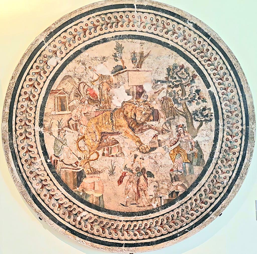 VI.9.5 Pompeii. September 2024. 
Triclinium 27, mosaic of lion and cupids between Dionysus and maenads. Found in April 1829. Photo courtesy of Giuseppe Ciaramella.
Now in Naples Archaeological Museum. Inventory number 10019. 
Kuivalainen comments: the references to wine, the drinking vessel in the hand of the maenad, the amphora uppermost on the scene, and finally the statue pouring wine from a jug, all point to the cult of Bacchus in his presence.
See Kuivalainen, I., 2021. The Portrayal of Pompeian Bacchus. Commentationes Humanarum Litterarum 140. Helsinki: Finnish Society of Sciences and Letters, (p.91-93, A14).

