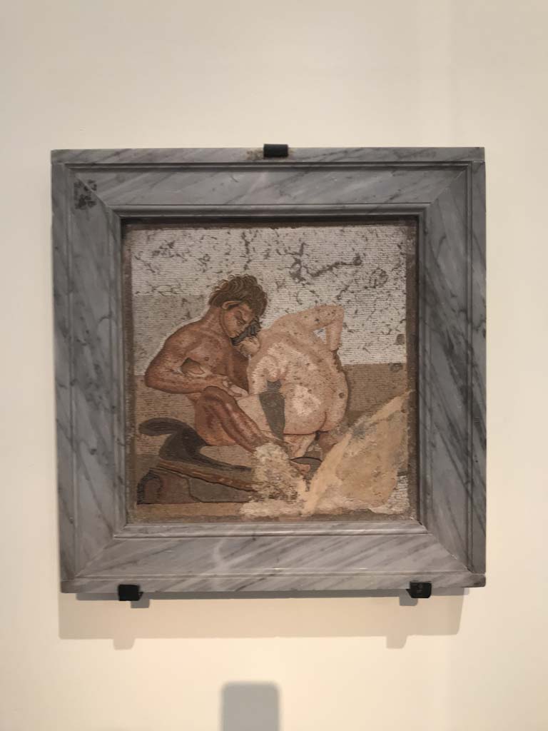 VI.12.2 Pompeii. April 2019. Mosaic emblema from cubiculum in south-east corner of atrium.
According to Naples Archaeological Museum display-board, this mosaic was found in this room.
Inventory number 27707. Photo courtesy of Rick Bauer.

