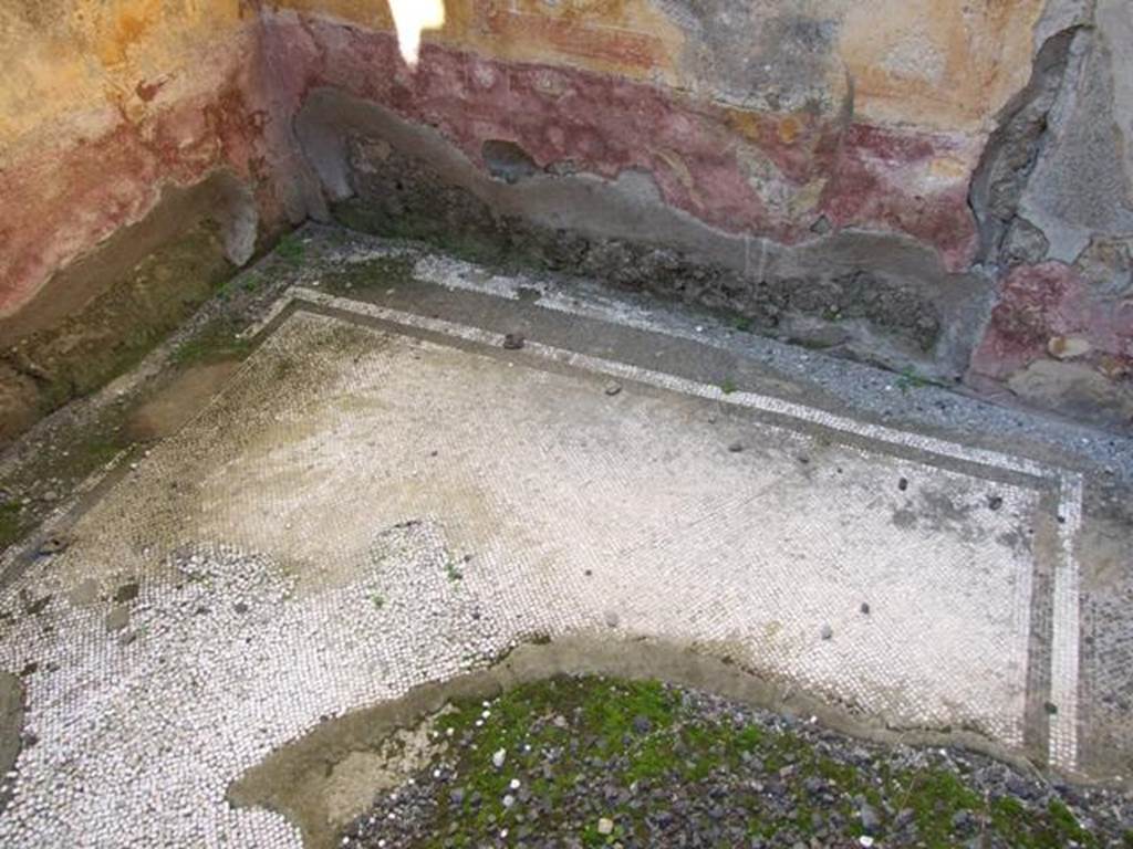 VI.14.20  Pompeii.  March 2009.  Room 9.   Remains of mosaic floor.