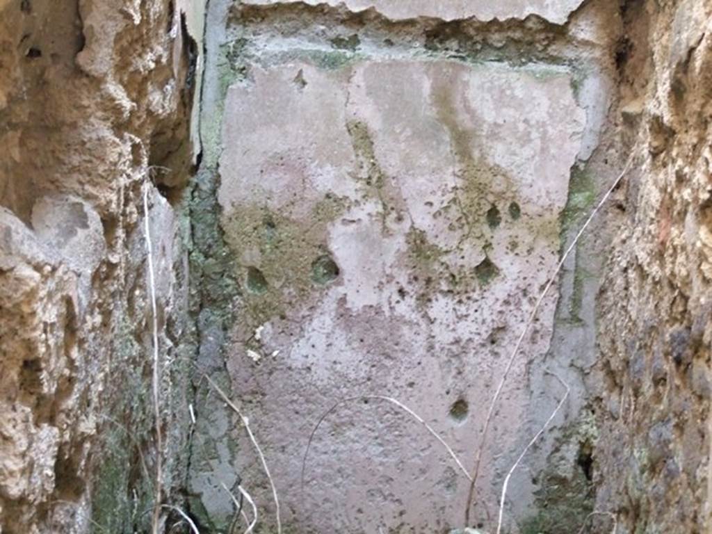 VI.14.20 Pompeii. March 2009. Room 12, east wall of small room on south side of room 4.  