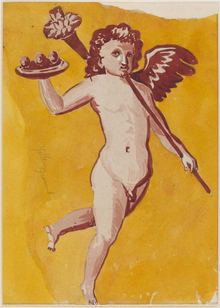 VI.14.20 Pompeii. Undated painting of cupid by Sydney Vacher. 
(Note: this may or may not have come from the same room 13, as the above one, where the walls are very faded)
Photo  Victoria and Albert Museum, inventory number E.4415-1910. 


Photo  Victoria and Albert Museum, inventory number E.4415-1910. 
