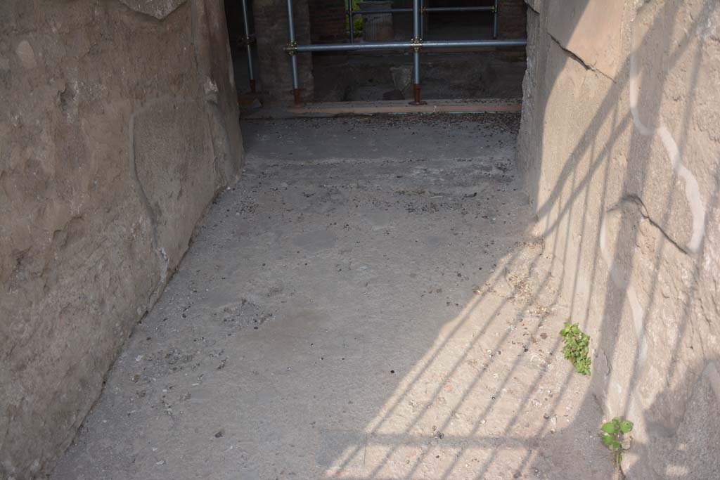 VI.15.9 Pompeii. July 2017. Looking west along flooring in entrance corridor.
Foto Annette Haug, ERC Grant 681269 DCOR
