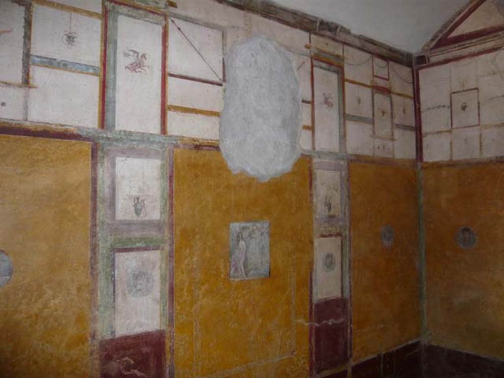 VI.16.7 Pompeii. June 2013. Room R, south wall, after restoration.
Photo courtesy of Buzz Ferebee.
