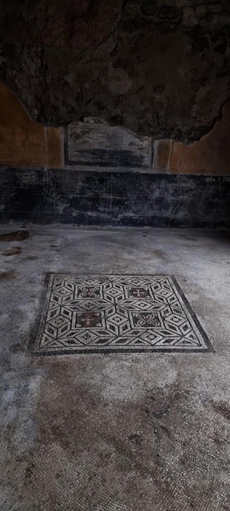 VI.16.7 Pompeii. January 2023. 
Tablinum E, looking across flooring towards north wall from small doorway on east portico.
Photo courtesy of Miriam Colomer.
