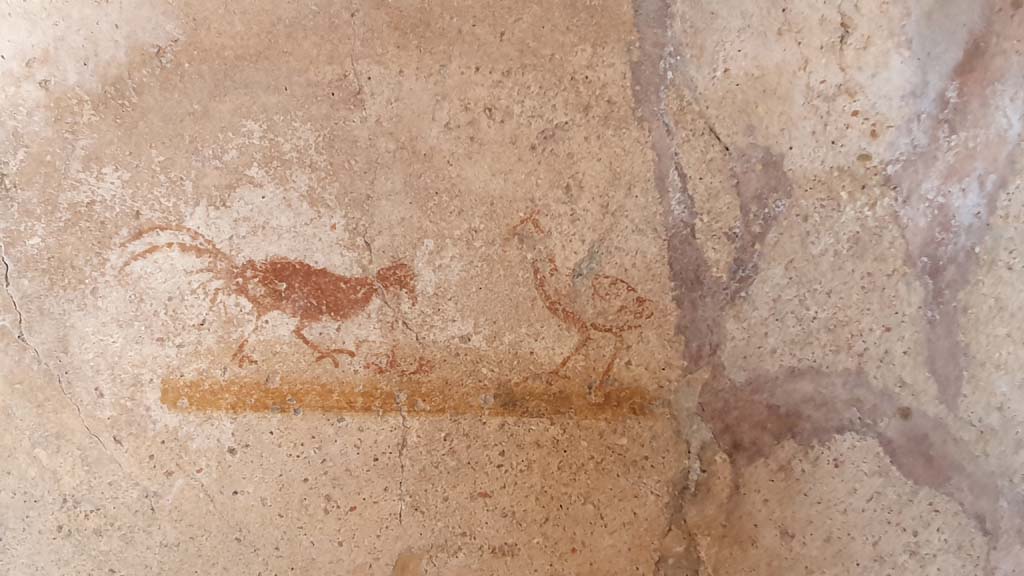 VI.16.33 Pompeii. July 2021. East wall with painted birds.
Foto Annette Haug, ERC Grant 681269 DCOR.
