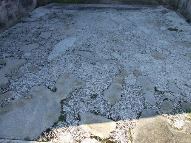 VII.4.31/51 Pompeii. March 2009. Room 23, exedra/tablinum, looking towards north peristyle.

