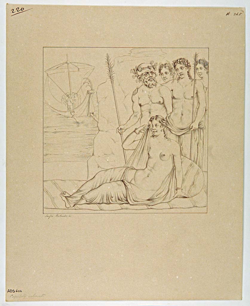 VII.4.31/51 Pompeii. 1842 painting by Zahn of decoration on room 24, east wall. 
See Zahn, W., 1842. Die schönsten Ornamente und merkwürdigsten Gemälde aus Pompeji, Herkulanum und Stabiae: II. Berlin: Reimer, Taf. 39.
According to PPM this shows the detail of the "wallpaper" decoration, from a drawing by Zahn. 
The traces still visible in situ and the fragments found by the Australian Expedition to Pompeii during the cleaning of the cellar confirm the accuracy of Zahn's watercolour.
See Carratelli, G. P., 1990-2003. Pompei: Pitture e Mosaici: Vol. VI. Roma: Istituto della enciclopedia italiana, p. 1071 n. 108 (and n. 107 and n. 110).
According to Descoeudres, in the cellar were fragments of plaster probably discarded by earlier excavators which when overlaid on an enlarged actual size copy of Zahn's painting were a perfect match, as were the traces remaining on the wall.
See Descoeudres J-P., Ed., 1994. Pompeii Revisited: The life and death of a Roman town. Sydney: Meditarch, (fig.75, p. 119 and reconstruction of wall in fig. 81, p.127)
