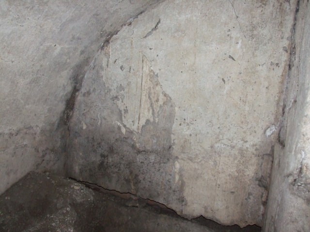 VII.4.31 Pompeii.  March 2009.  Room 27. Cellar.