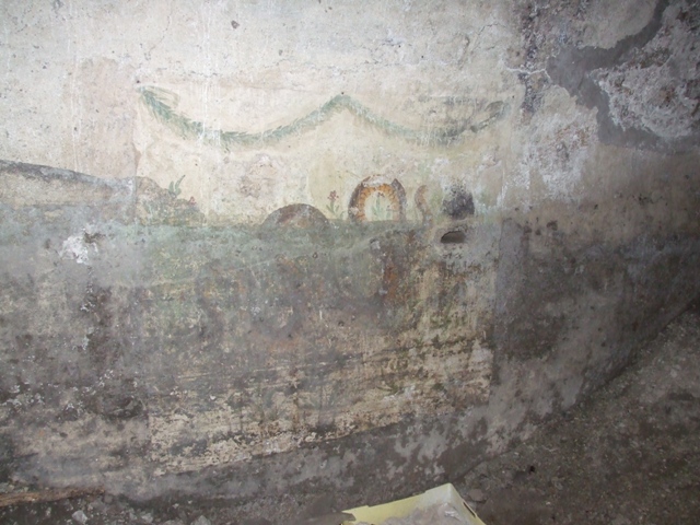 VII.4.31 Pompeii.  March 2009.  Room 27. Cellar. South east corner.