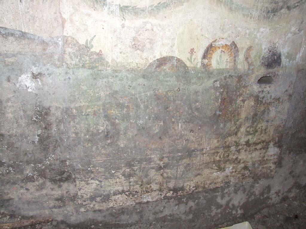 VII.4.31/51 Pompeii. March 2009. Room 27, east wall of cellar. Lararium painting, small niche, garland and serpent.
According to Fröhlich this had a few defects, moderately faded in places, very dirty in the lower part. 
There was a white painted wall surface with sacrificial plate. 
A big snake moves slightly ascending to the right. 
In the oblong hole under the head of the serpent destroyed today, a wooden sacrificial plate was certainly attached. 
The picture background is filled with small perennial plants and oleander-like shrubs, both with red flowers. 
At the upper edge two garlands are painted, over whose three attachment points in each case remnants of nails stuck in the wall, which apparently served for the attachment of real garlands.
See Fröhlich, T., 1991. Lararien und Fassadenbilder in den Vesuvstädten. Mainz: von Zabern, L86, p. 287.
See Boyce G. K., 1937. Corpus of the Lararia of Pompeii. Rome: MAAR 14, p. 66.
