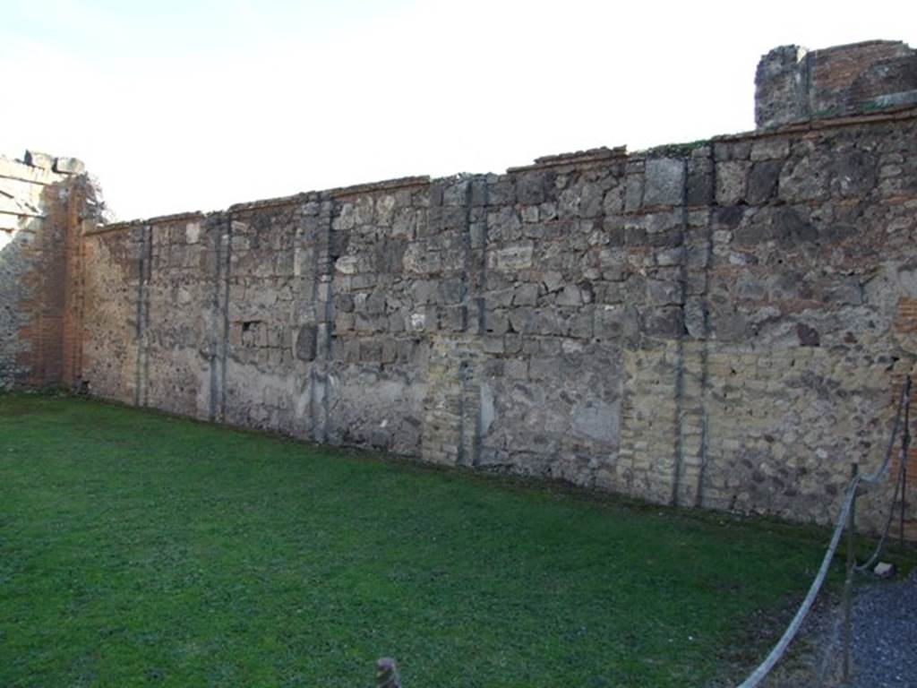 VII.9.2 Pompeii. December 2007.  South wall. According to Mau, at the time of the eruption in 79AD the wall had only received a rough coat of stucco and was still awaiting completion. See Mau, A., 1907, translated by Kelsey F. W. Pompeii: Its Life and Art. New York: Macmillan. (Page 109).