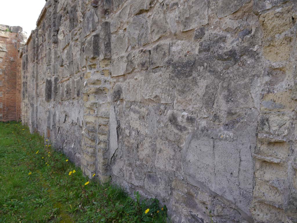 VII.9.2 Pompeii. March 2019. Looking east along south wall.
Foto Anne Kleineberg, ERC Grant 681269 DÉCOR.

