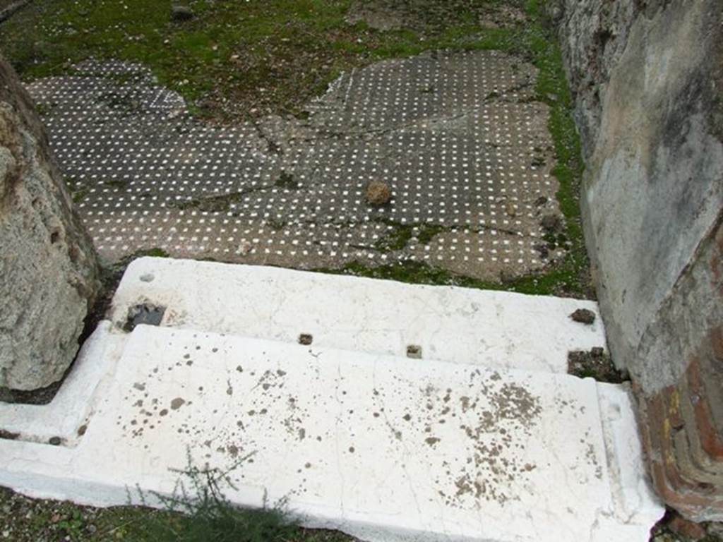 VII.9.47 Pompeii.  March 2009.  Room 2.  Cubiculum door sill and floor.