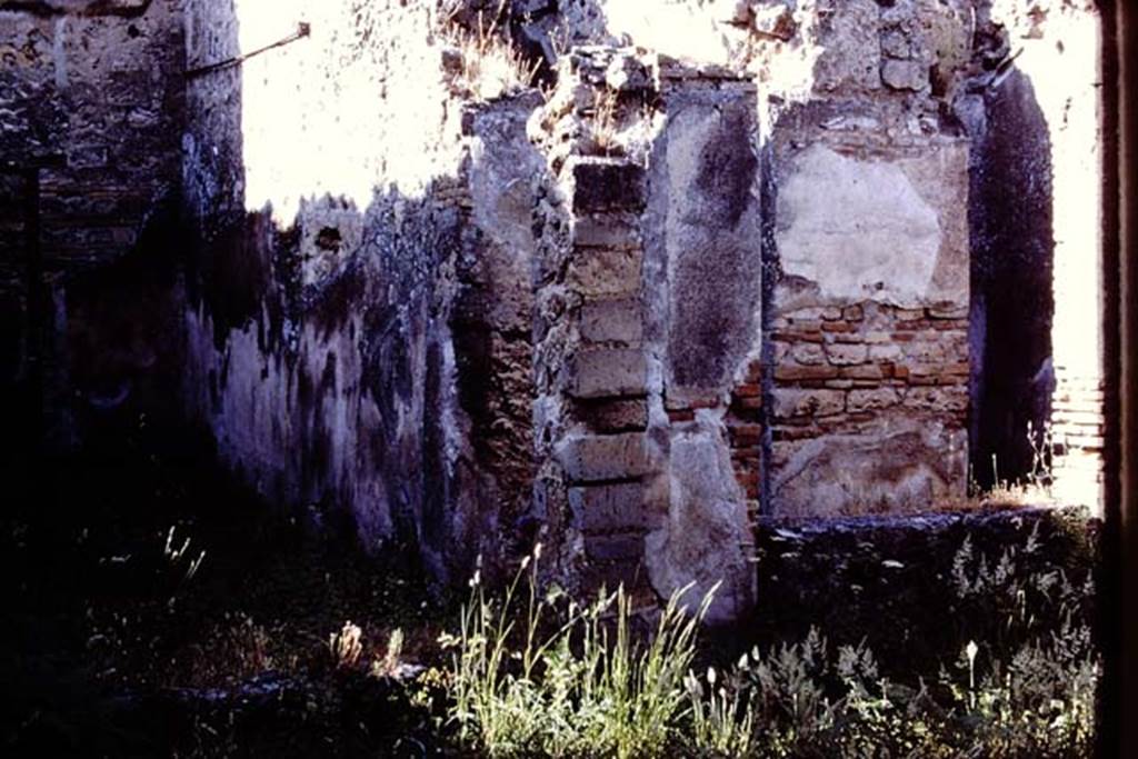 VII.11.14 Pompeii, 1978. North side of garden area with remains of large low window, in north-east corner of  garden area “A”.  Photo by Stanley A. Jashemski.   
Source: The Wilhelmina and Stanley A. Jashemski archive in the University of Maryland Library, Special Collections (See collection page) and made available under the Creative Commons Attribution-Non Commercial License v.4. See Licence and use details. J78f0107

