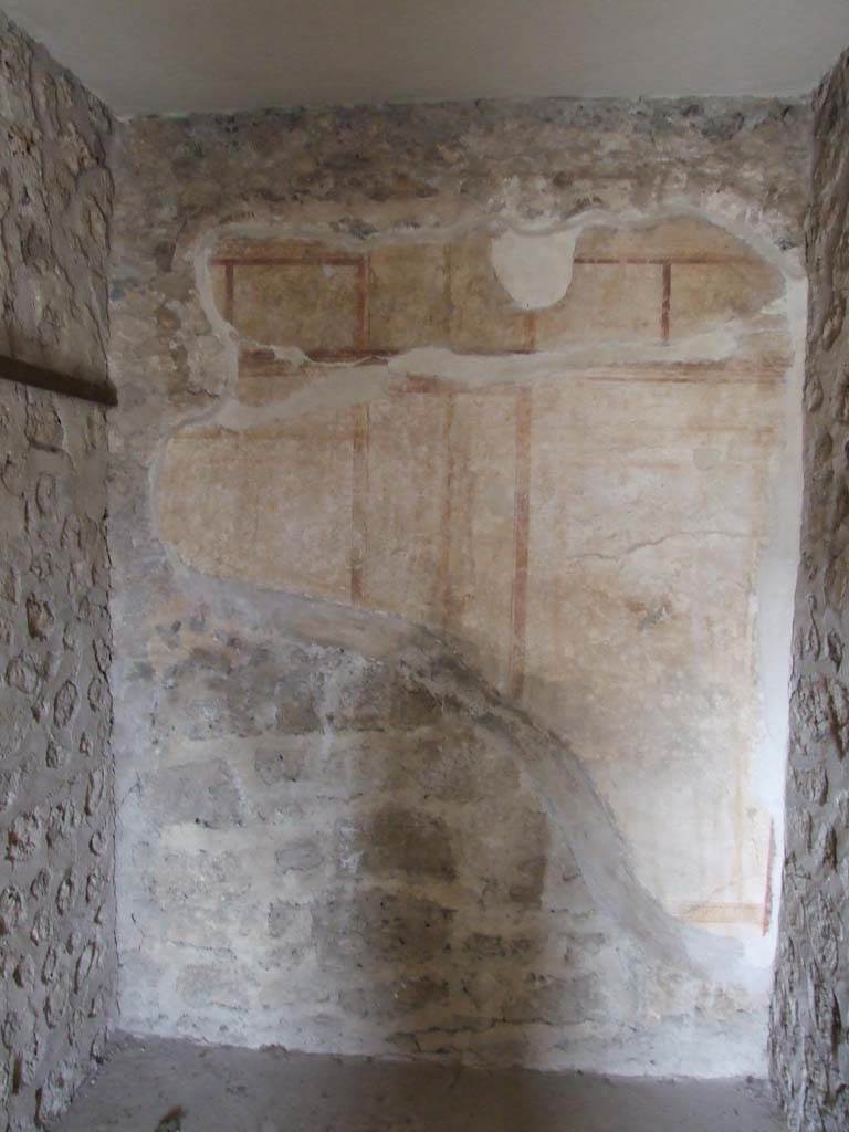 VII.12.20 Pompeii. March 2009, Room 1, north wall with remains of painted plaster.
