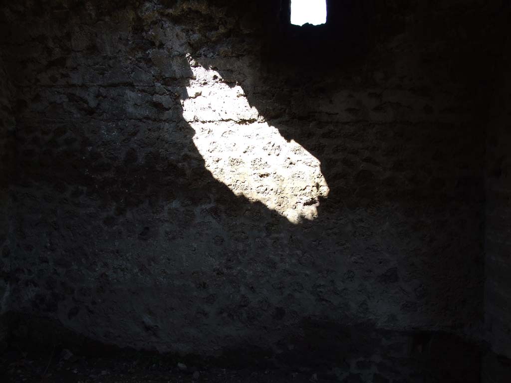 VII.14.9 Pompeii. March 2009. Room 10, north wall of bath suite.  